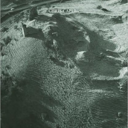 Excavations at Dryslwyn Castle 1980-1995