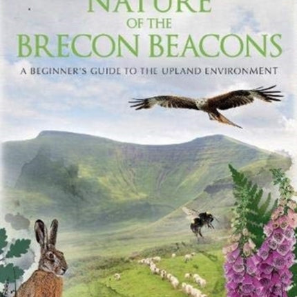 Nature of the Brecon Beacons: A Beginners Guide to the Upland Environment