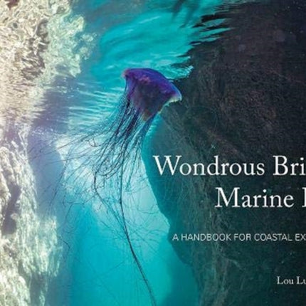 Wondrous British Marine Life: A handbook for coastal explorers