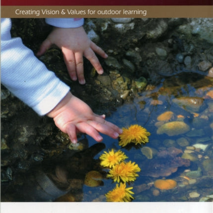 Potential of a Puddle: Creating Vision and Values