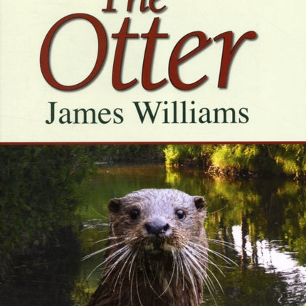 The Otter