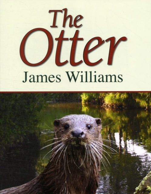 The Otter