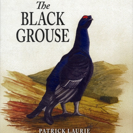 The Black Grouse