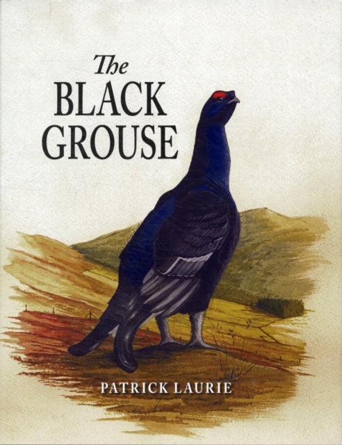 The Black Grouse