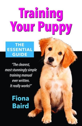 Training Your Puppy: The Essential Guide