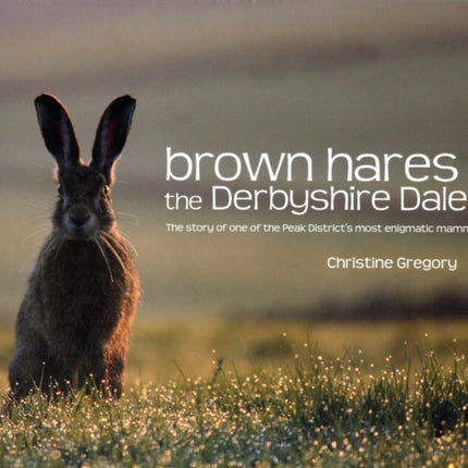 Brown Hares in the Derbyshire Dales: The Story of One of the Peak District's Most Enigmatic Mammals