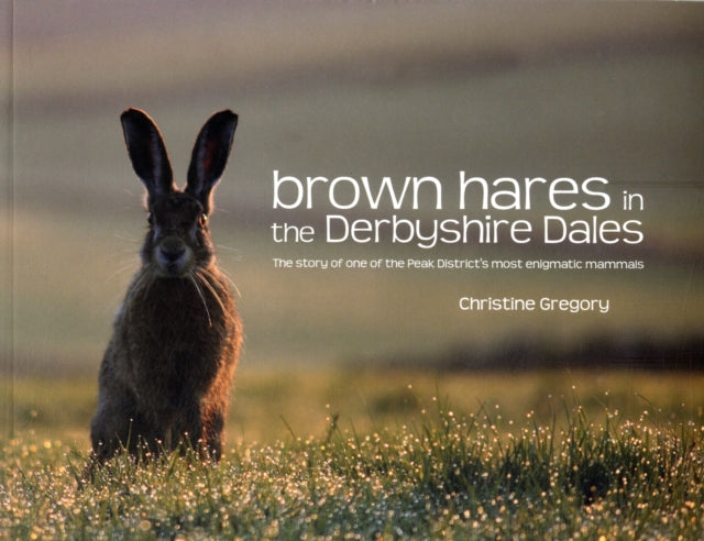 Brown Hares in the Derbyshire Dales: The Story of One of the Peak District's Most Enigmatic Mammals