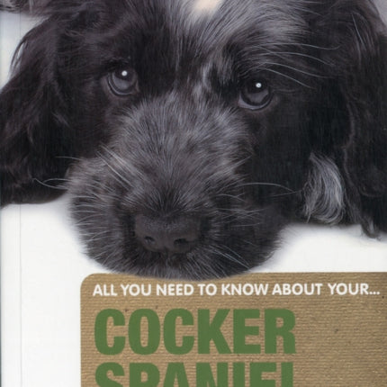 Cocker Spaniel: An Owner's Guide