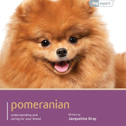 Pomeranian - Dog Expert