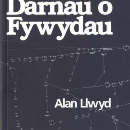 Darnau o Fywydau