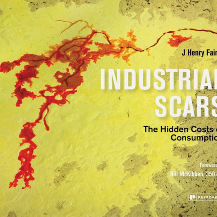 Industrial Scars: The Hidden Cost of Consumption