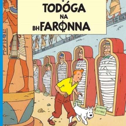 Tintin: Todoga Na Bhfaronna (Irish)