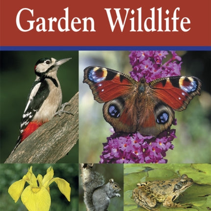 A Naturalists Guide to Garden Wildlife