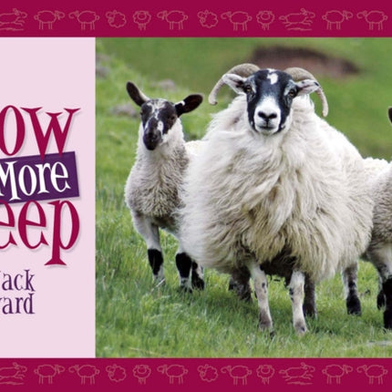 Know More Sheep