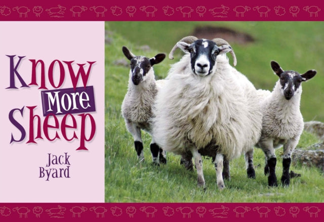 Know More Sheep