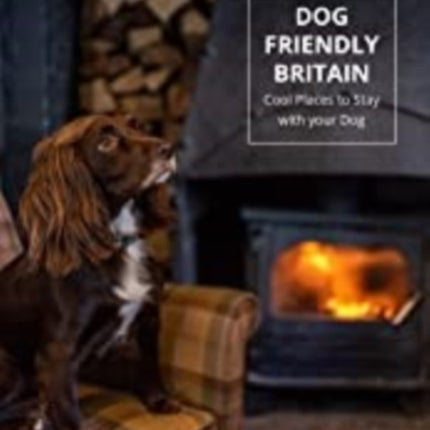 Dog Friendly Britain: Cool Places to Stay with your Dog