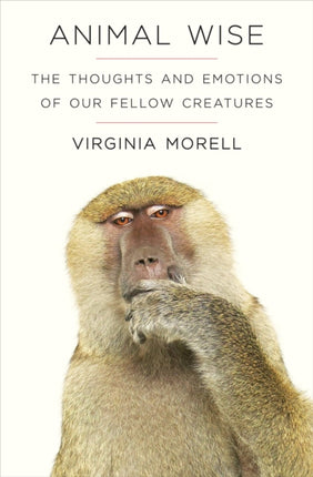 Animal Wise: The Thoughts and Emotions of Animals