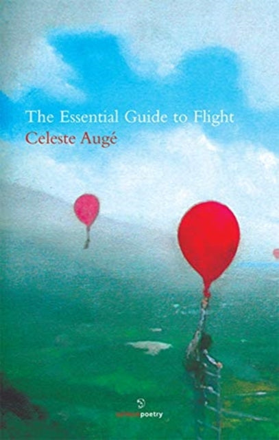 The Essential Guide to Flight