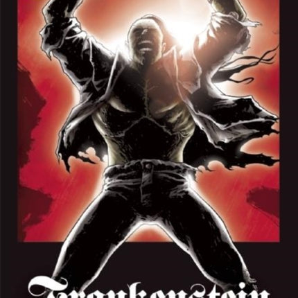 Frankenstein The Graphic Novel: Original Text