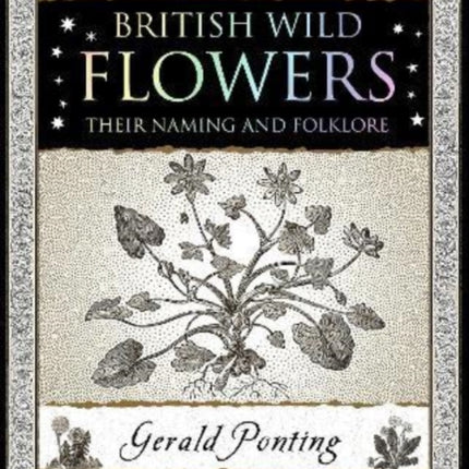 British Wild Flowers: Their Naming and Folklore