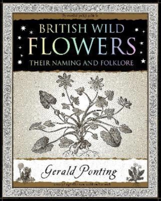 British Wild Flowers: Their Naming and Folklore