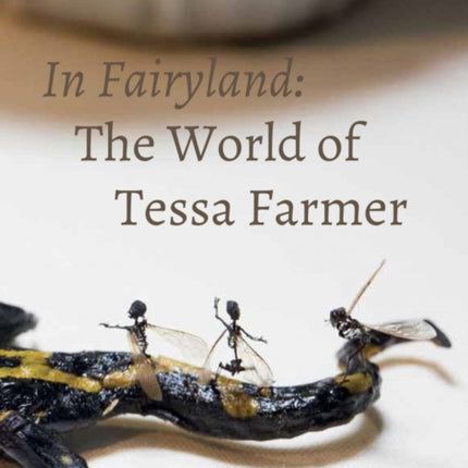 In Fairyland  The World of Tessa Farmer