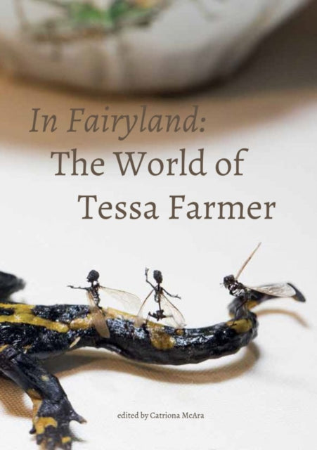 In Fairyland  The World of Tessa Farmer