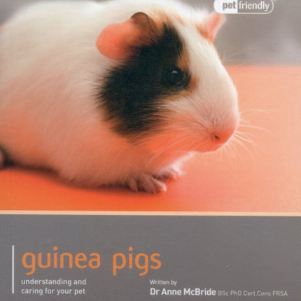 Guinea Pig - Pet Friendly