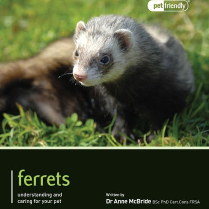 Ferrets - Pet Friendly