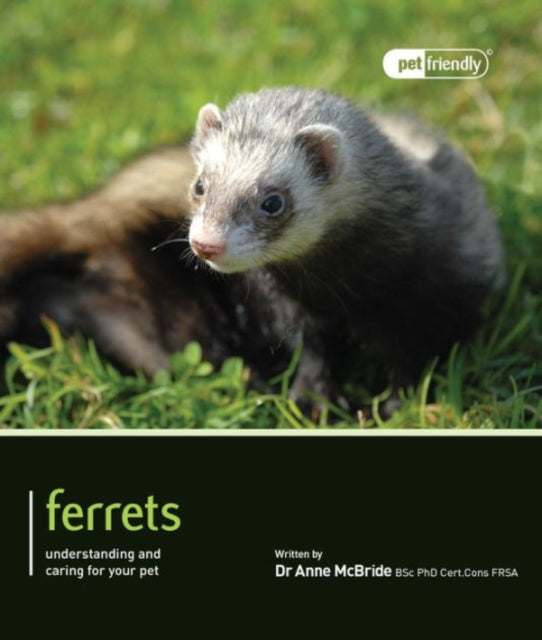 Ferrets - Pet Friendly