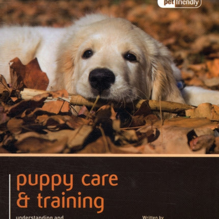 Puppy Training & Care - Pet Friendly