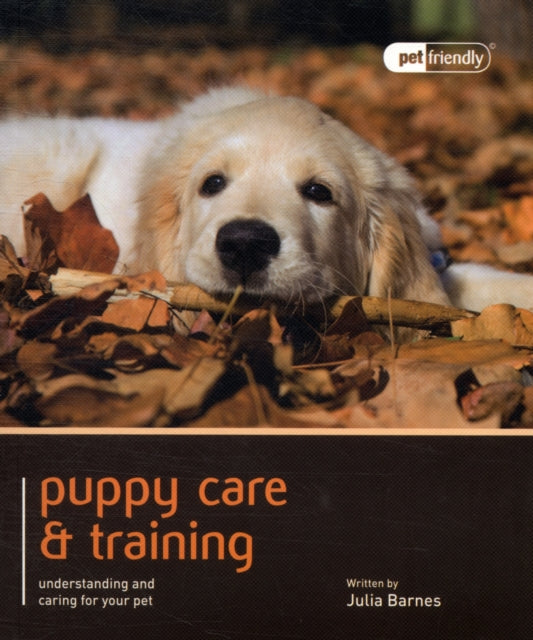 Puppy Training & Care - Pet Friendly