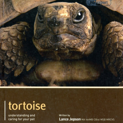 Tortoise - Pet Expert: Understanding and Caring for Your Pet