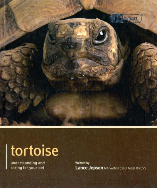 Tortoise - Pet Expert: Understanding and Caring for Your Pet