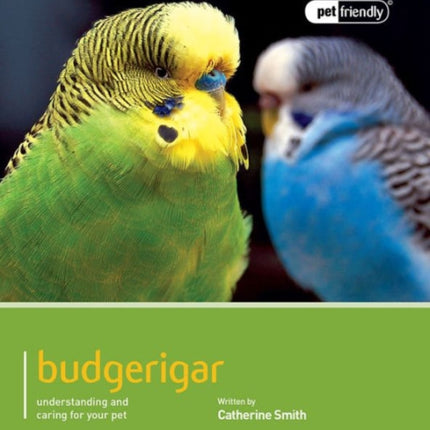 Budgeriegars - Pet Friendly