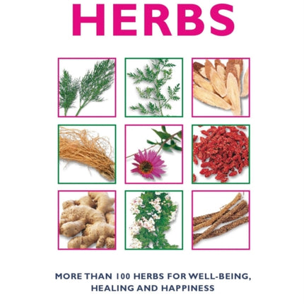 Essential Guide to Herbs