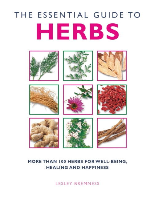 Essential Guide to Herbs