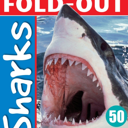 Fold-Out Poster Sticker Book: Sharks