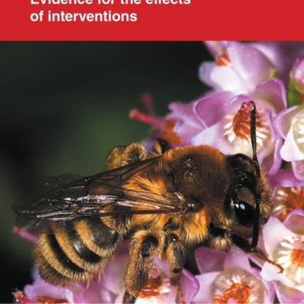 Bee Conservation: Evidence for the effects of interventions