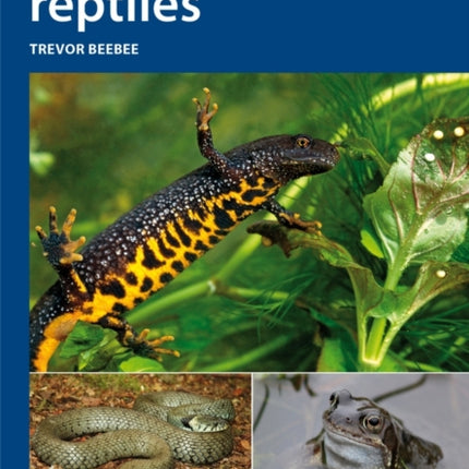 Amphibians and reptiles