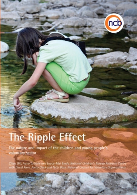 The Ripple Effect: The nature and impact of the children and young people's voluntary sector