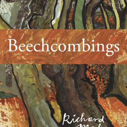 Beechcombings