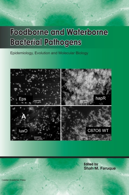 Foodborne and Waterborne Bacterial Pathogens: