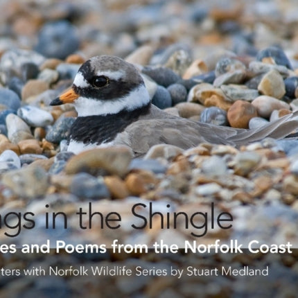 Rings in the Shingle: Images and Poems from the Norfolk Coast