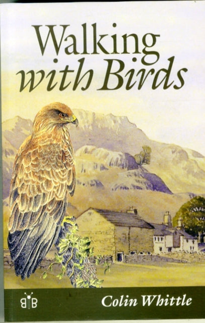 Walking with Birds: An Exploration of Wildlife and Landscape of a Cumbrian Valley