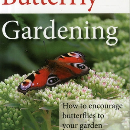 Butterfly Gardening: How to Encourage Butterflies to Your Garden