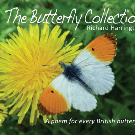 The Butterfly Collection