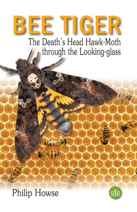 Bee Tiger: The Death's Head Hawk-moth through the Looking-glass