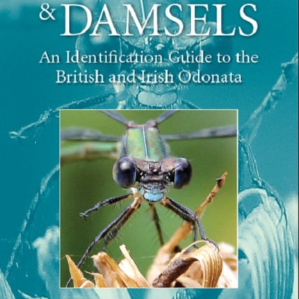 Dragons and Damsels: An identification guide to the British and Irish Odonata