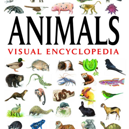 Animals Visual Encyclopedia: More than 750 colour illustrations